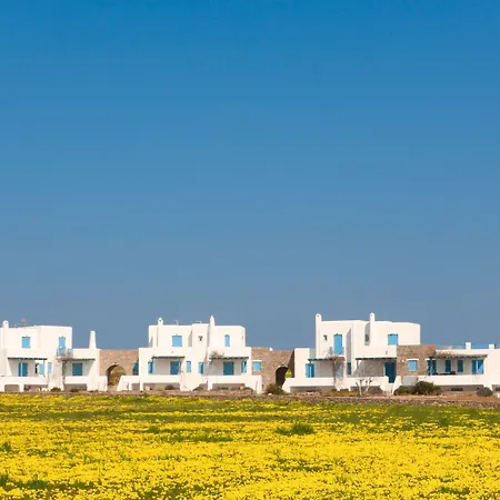Villa Seaside Paros - Ambelas