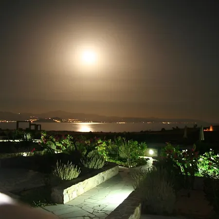 Villa Seaside Paros - Ambelas